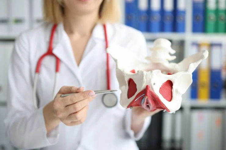 Total Hip Replacement